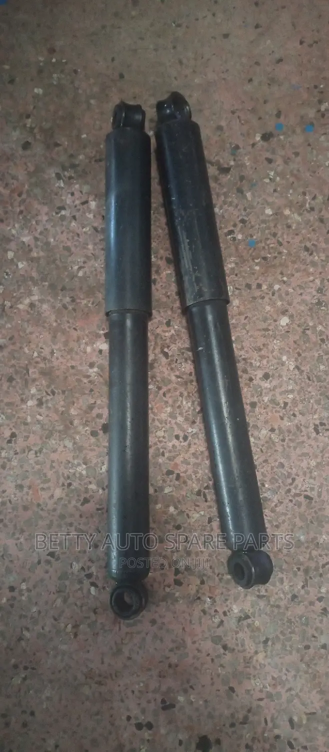 Isuzu Trooper Rear Shocks