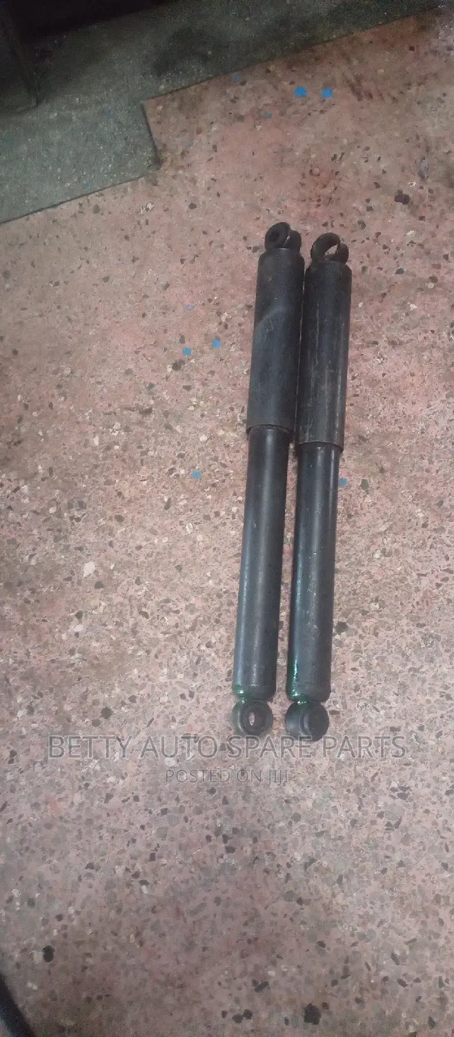 Isuzu Trooper Rear Shocks