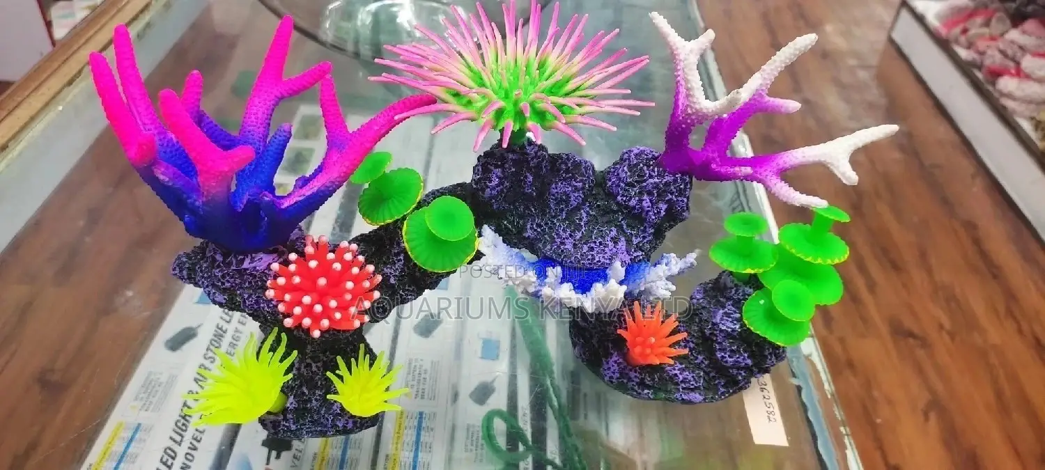 Coral Reef  Colour Full Artificial Reef