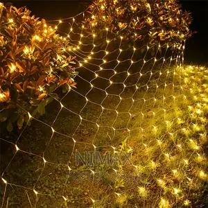 Warm White 3mtrs X3mtrs Led Mesh Lights