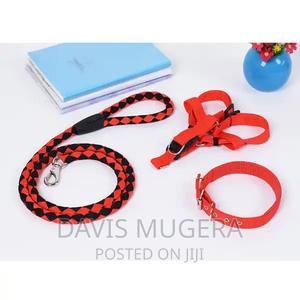 Heavy Duty Dog Harness and Leash Collar Set - thumbnail 2