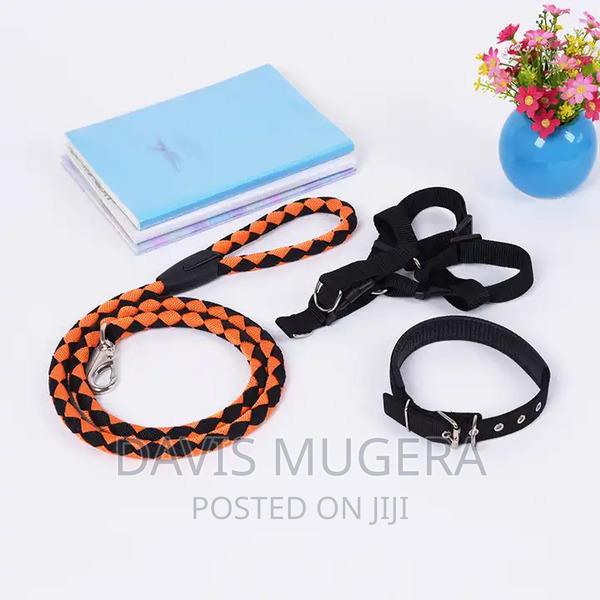 Heavy Duty Dog Harness and Leash Collar Set - thumbnail 3