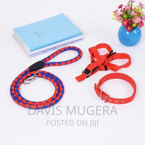 Heavy Duty Dog Harness and Leash Collar Set - thumbnail 4