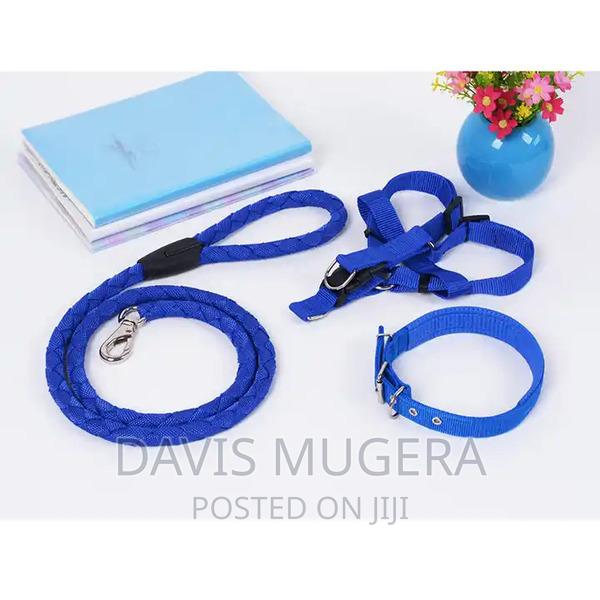 Heavy Duty Dog Harness and Leash Collar Set - thumbnail 5