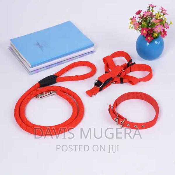 Heavy Duty Dog Harness and Leash Collar Set - thumbnail 6