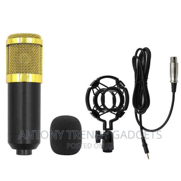 Condenser Microphone With V8 Sound Card - thumbnail 3