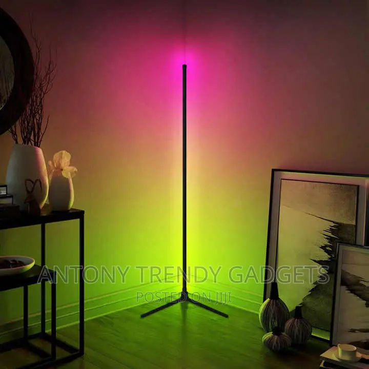 Smart Corner Floor Lamps