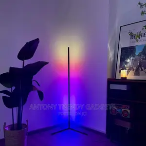 Smart Corner Floor Lamps