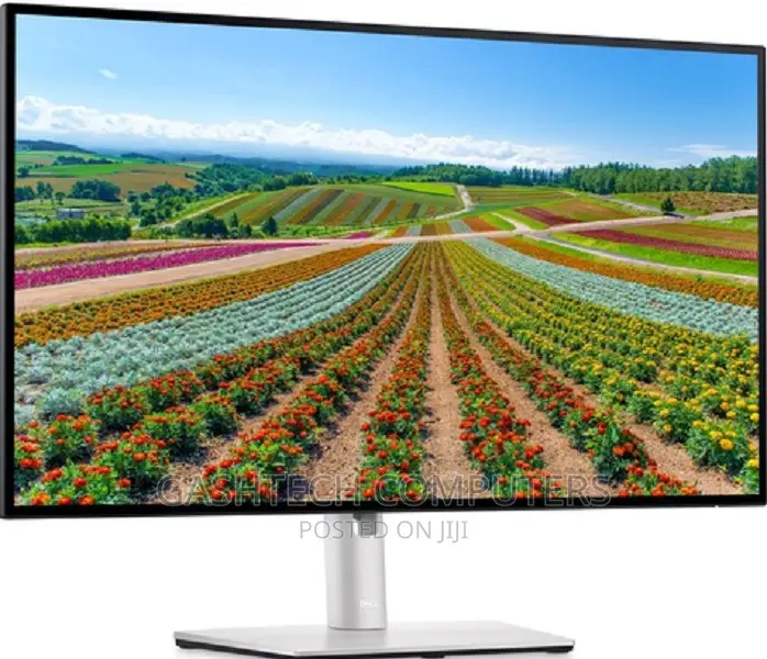 Dell P2422H 23.8" FHD Monitor,
