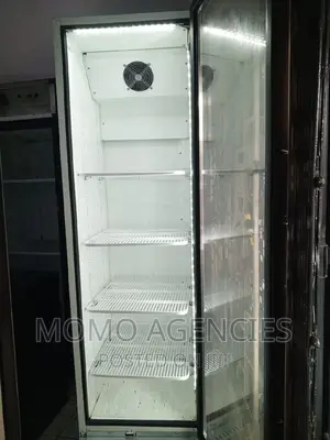 Display Fridge 500l