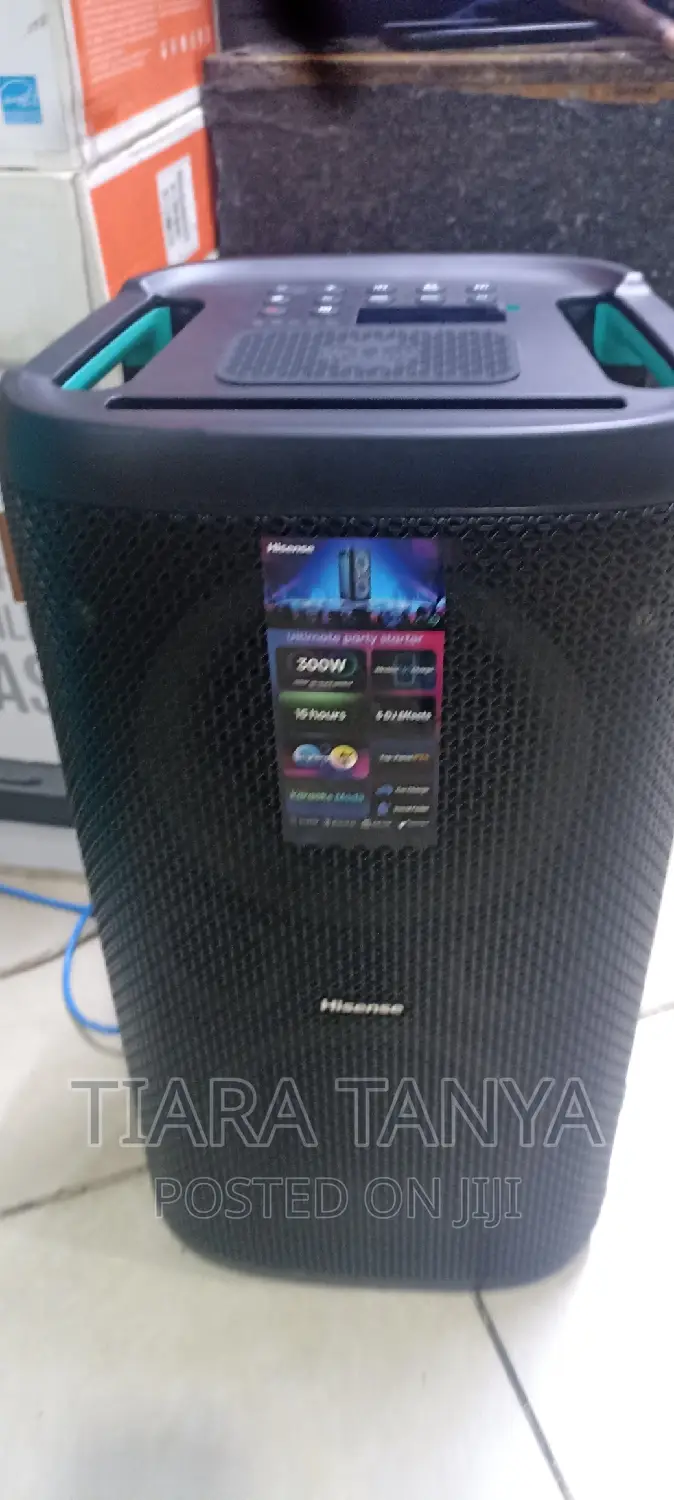 Hisense 300watts Hp100 Wireless Party Rocker