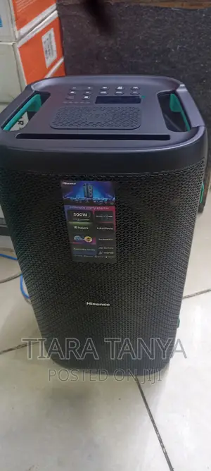 Hisense 300watts Hp100 Wireless Party Rocker