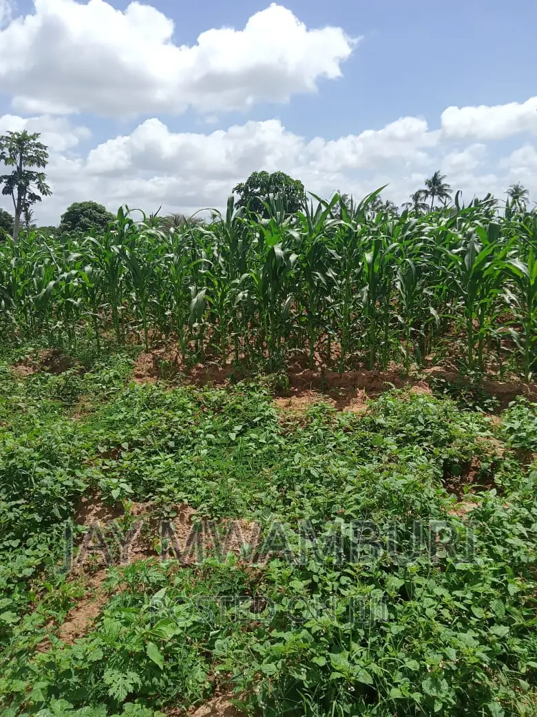 200 Acres Touching River Kilifi