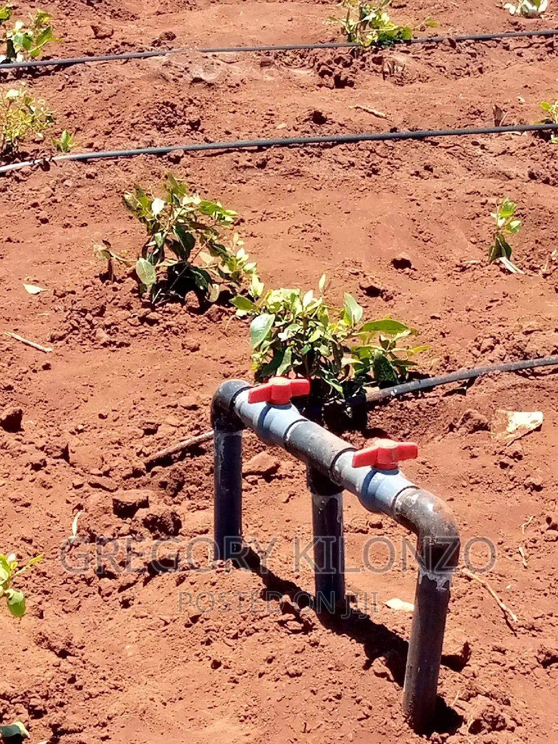 Plumbing .