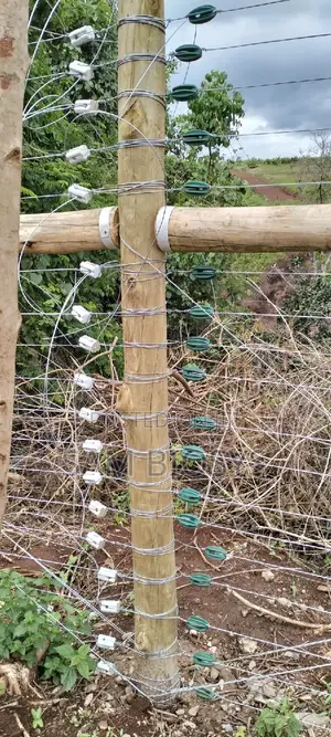 Galvanized High Tensile Wire
