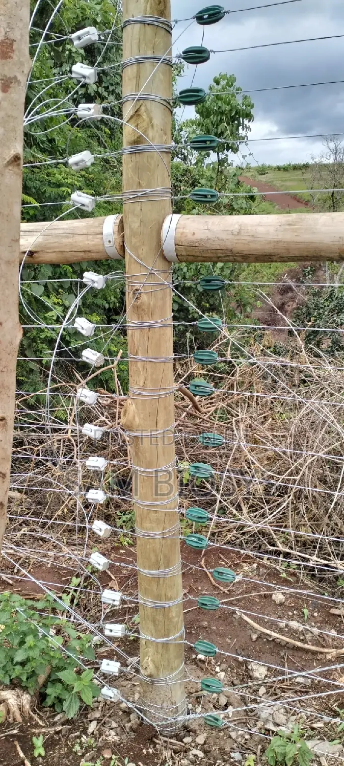 Galvanized High Tensile Wire