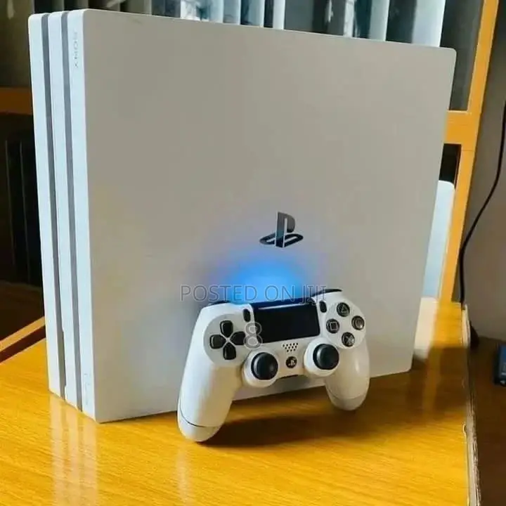 Sony Entertainment PS4 Standard With a Testing Game