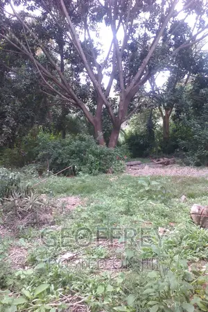 Selling 1 Acre in Karen Near Karen Hub.