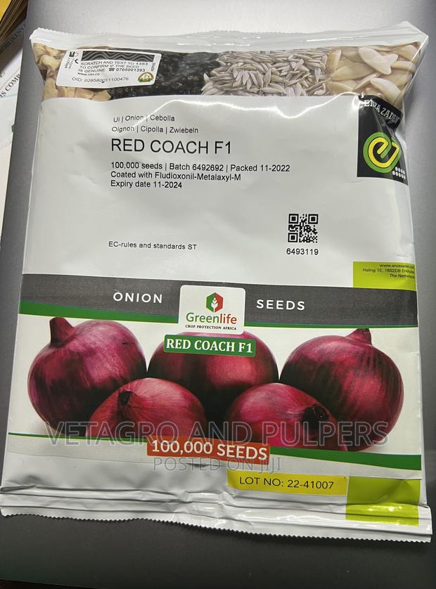 Hybrid Red Coach F1 Onions 100,000 Seeds (400g)