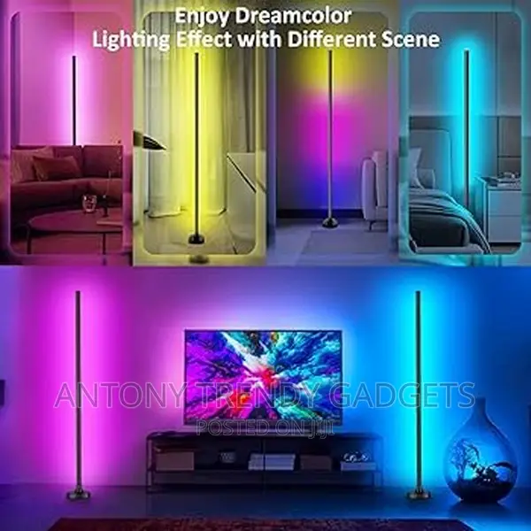 Modern RGB Led Corner Floor Lamp