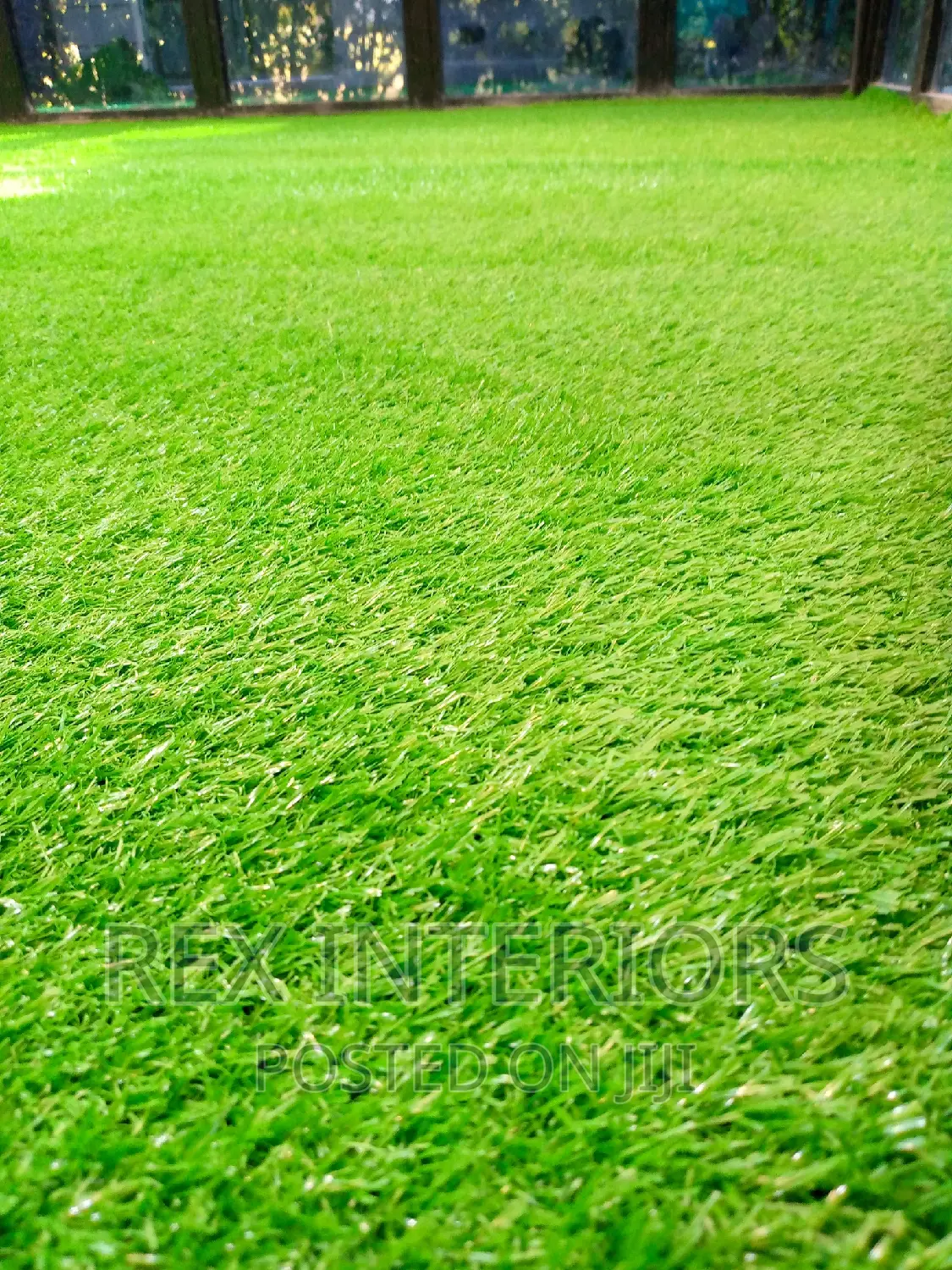 Grass Carpet