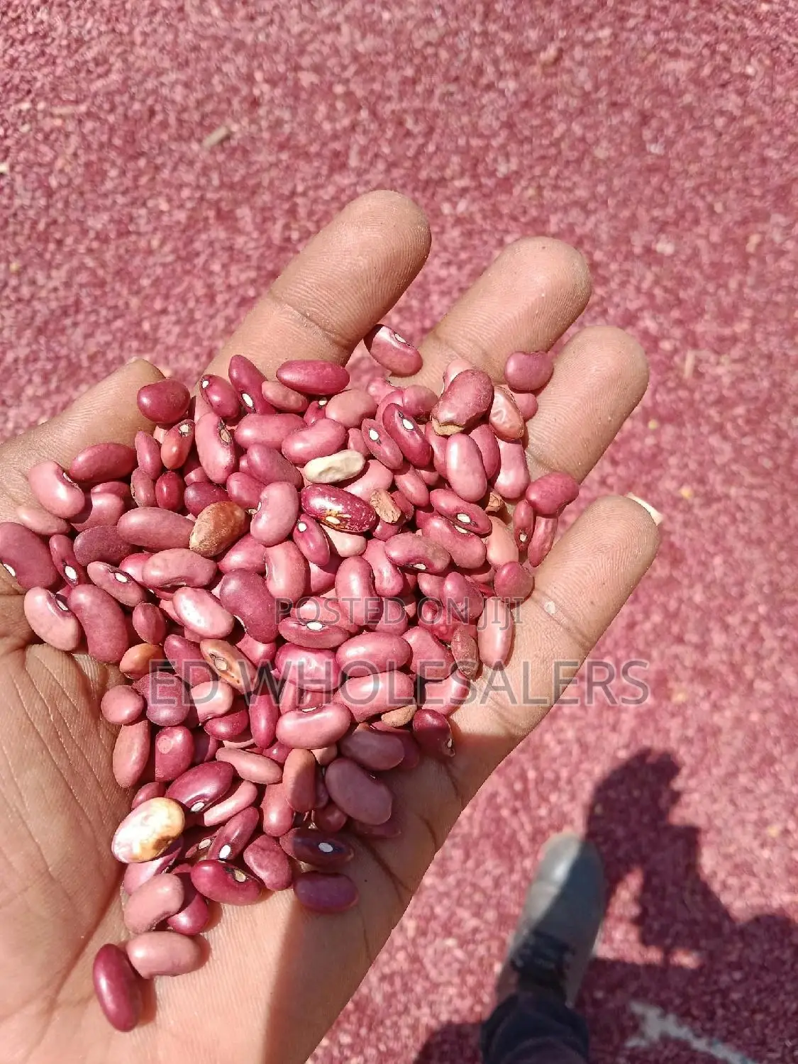 Wairimu Newly Harvested