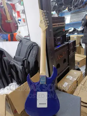 Electric Guitar Ibanez Solo 24 FRTS F
