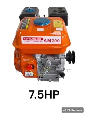 Gasoline Engine