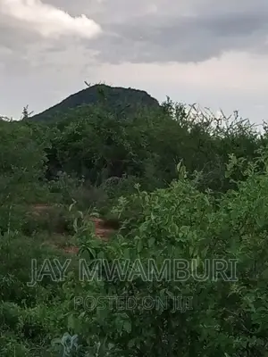 5 Acre Land Taveta