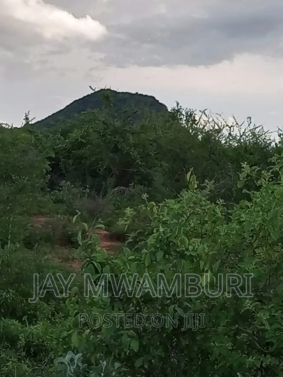 5 Acre Land Taveta