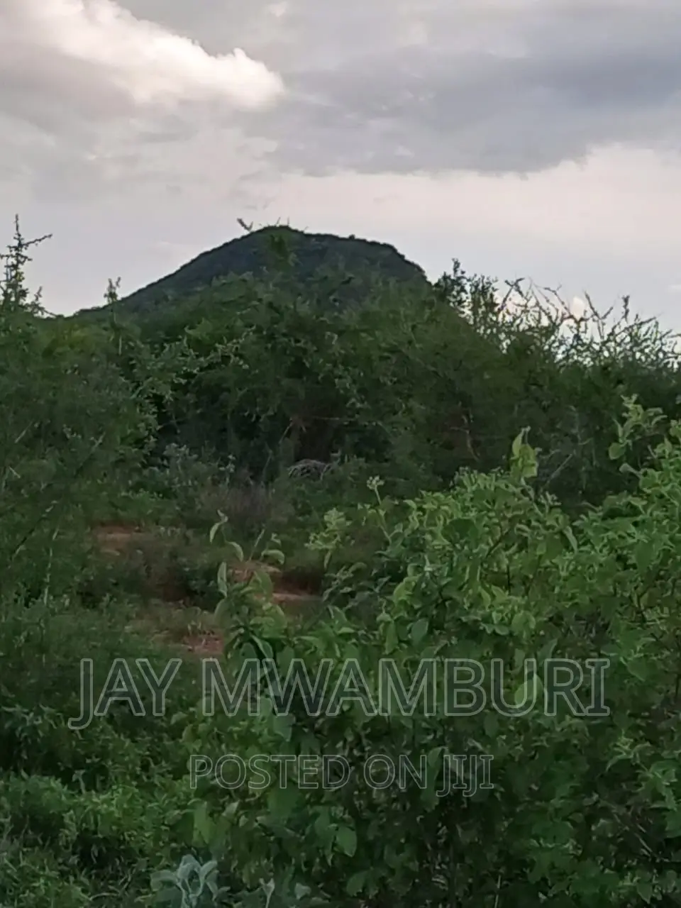 5 Acre Land Taveta