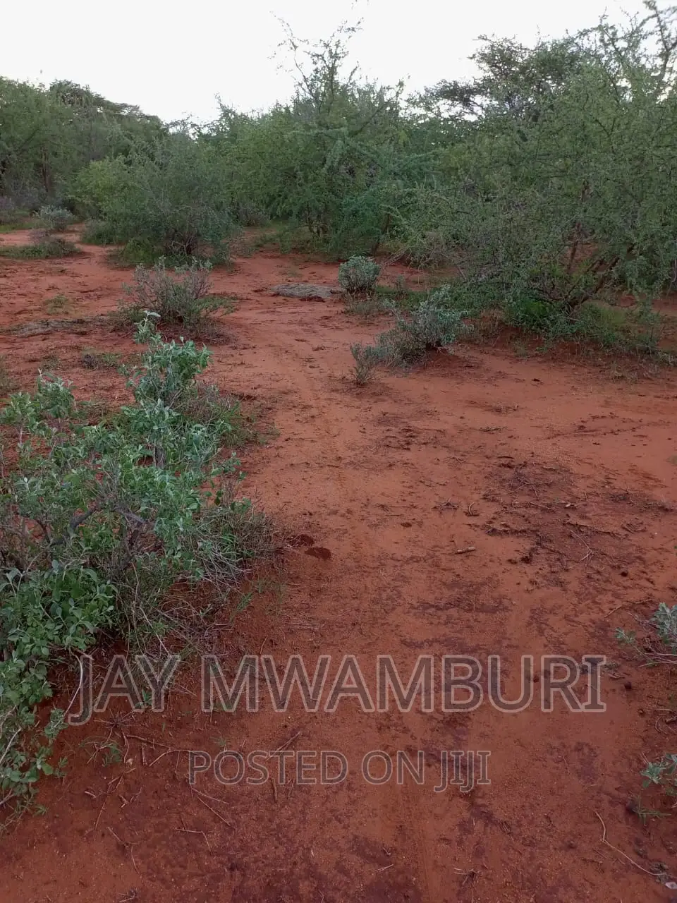 5 Acre Land Taveta