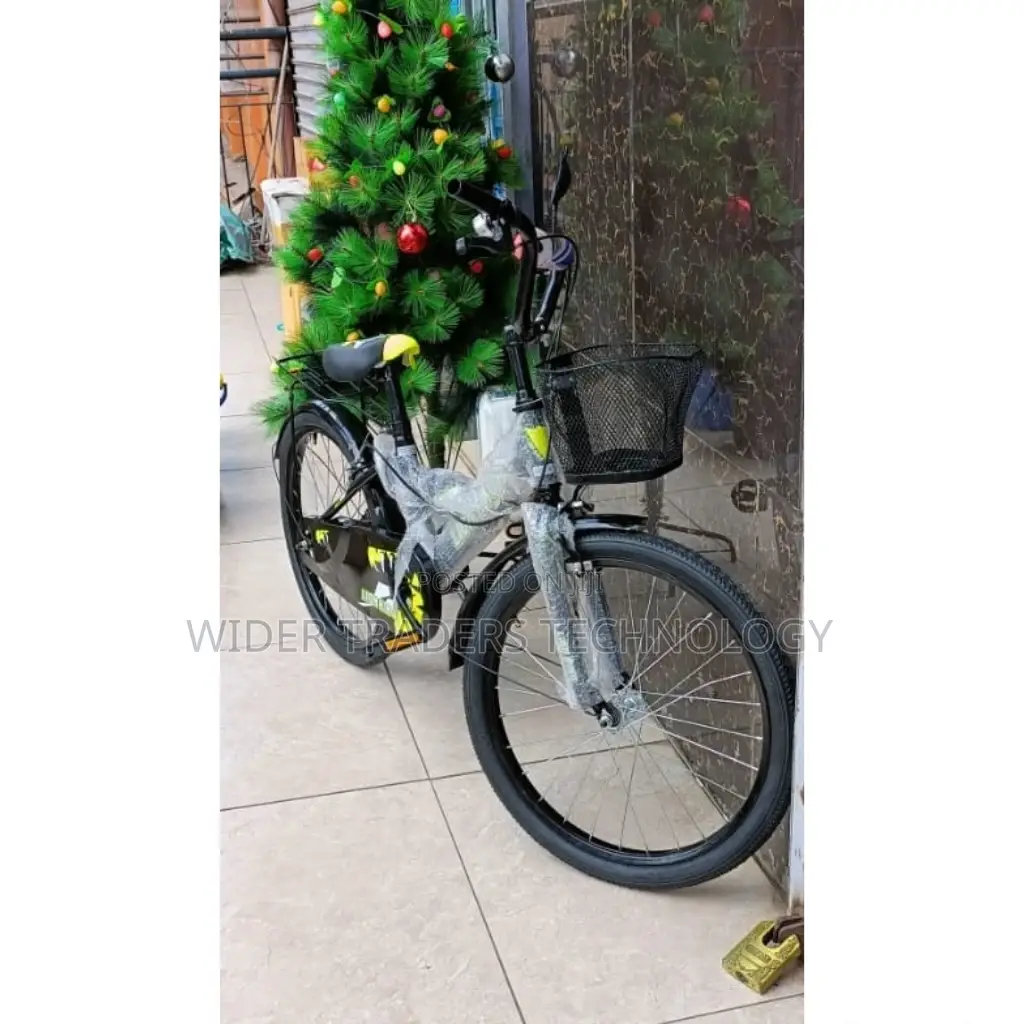 Lion King Kids Bike Size 20" Without Trainer Wheels (7~12 Yr