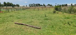 Prime Plot for Sale in Royalton After Annex Eldoret