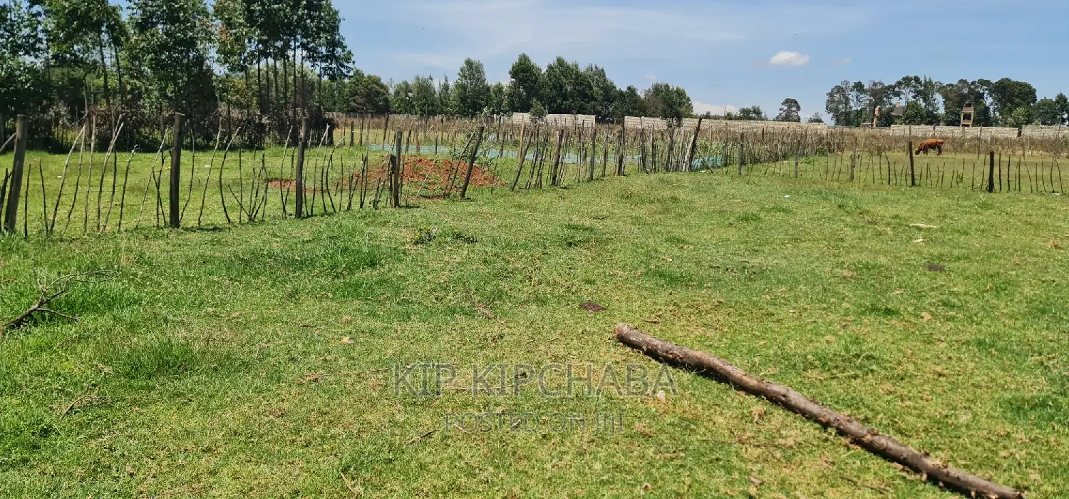 Prime Plot for Sale in Royalton After Annex Eldoret