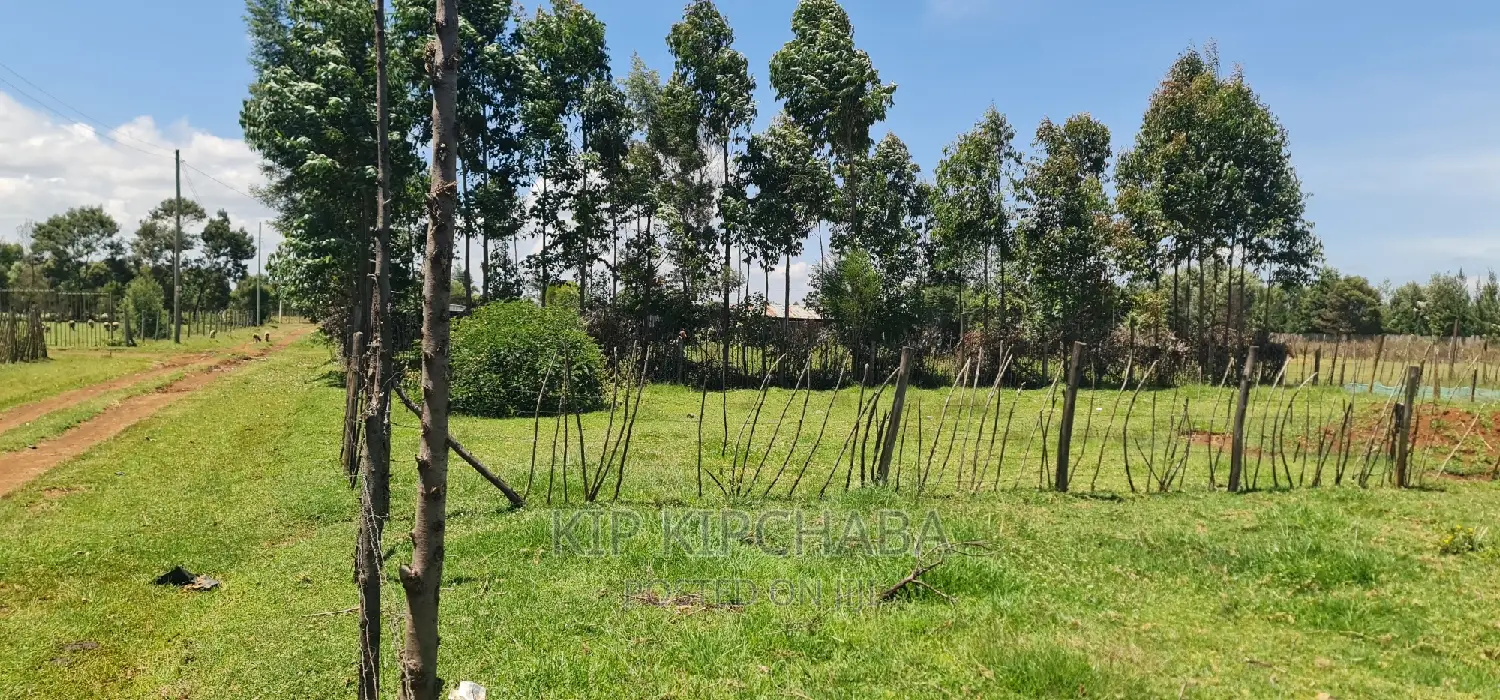 Prime Plot for Sale in Royalton After Annex Eldoret