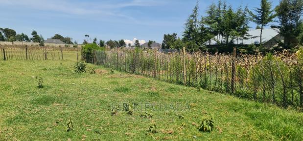 Prime Plot for Sale in Royalton After Annex Eldoret - thumbnail 8