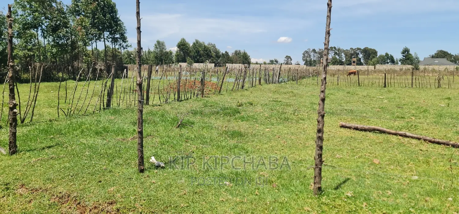 Prime Plot for Sale in Royalton After Annex Eldoret