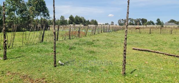 Prime Plot for Sale in Royalton After Annex Eldoret - thumbnail 9