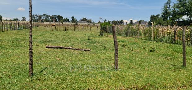 Prime Plot for Sale in Royalton After Annex Eldoret - thumbnail 10