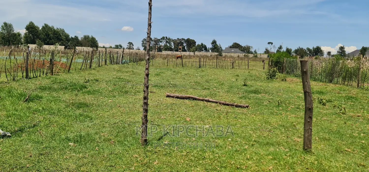 Prime Plot for Sale in Royalton After Annex Eldoret