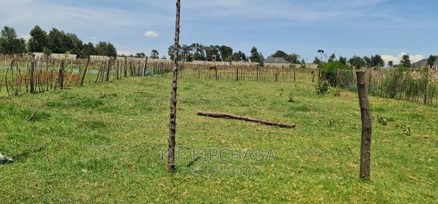 Prime Plot for Sale in Royalton After Annex Eldoret - thumbnail 11