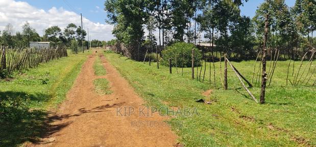 Prime Plot for Sale in Royalton After Annex Eldoret - thumbnail 13