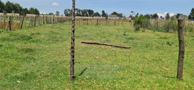 Prime Plot for Sale in Royalton After Annex Eldoret - thumbnail 14