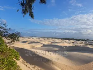 6M Beach Land for Sale Mamburui Malindi