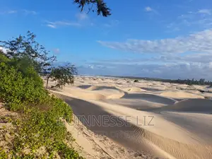 6M Beach Land for Sale Mamburui Malindi