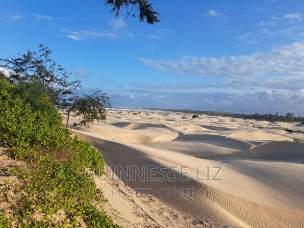 6M Beach Land for Sale Mamburui Malindi - thumbnail 3