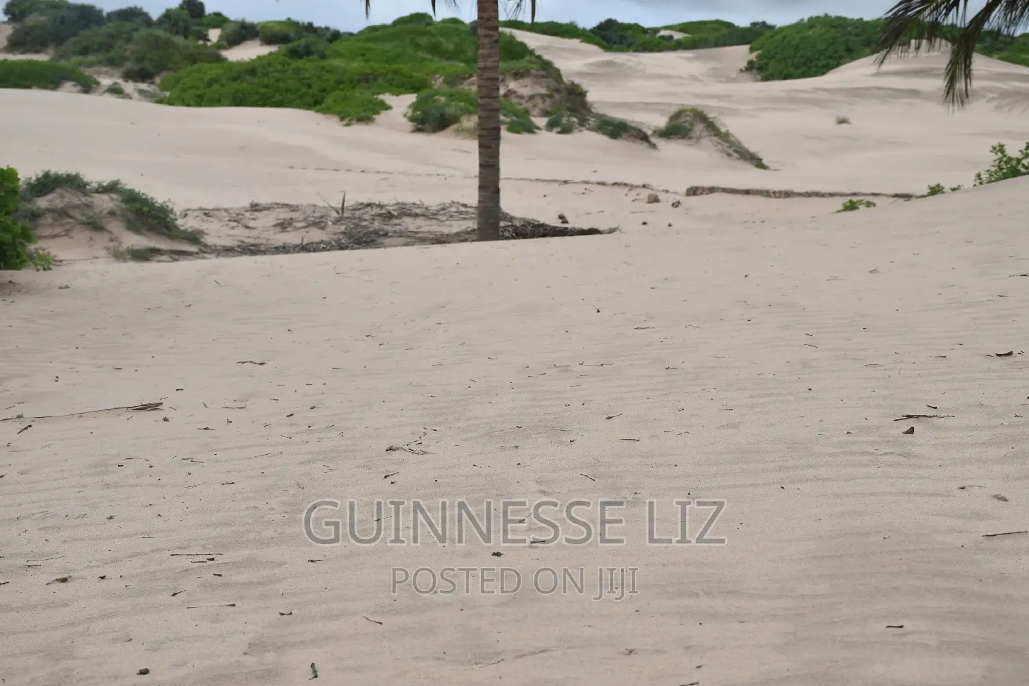 6M Beach Land for Sale Mamburui Malindi
