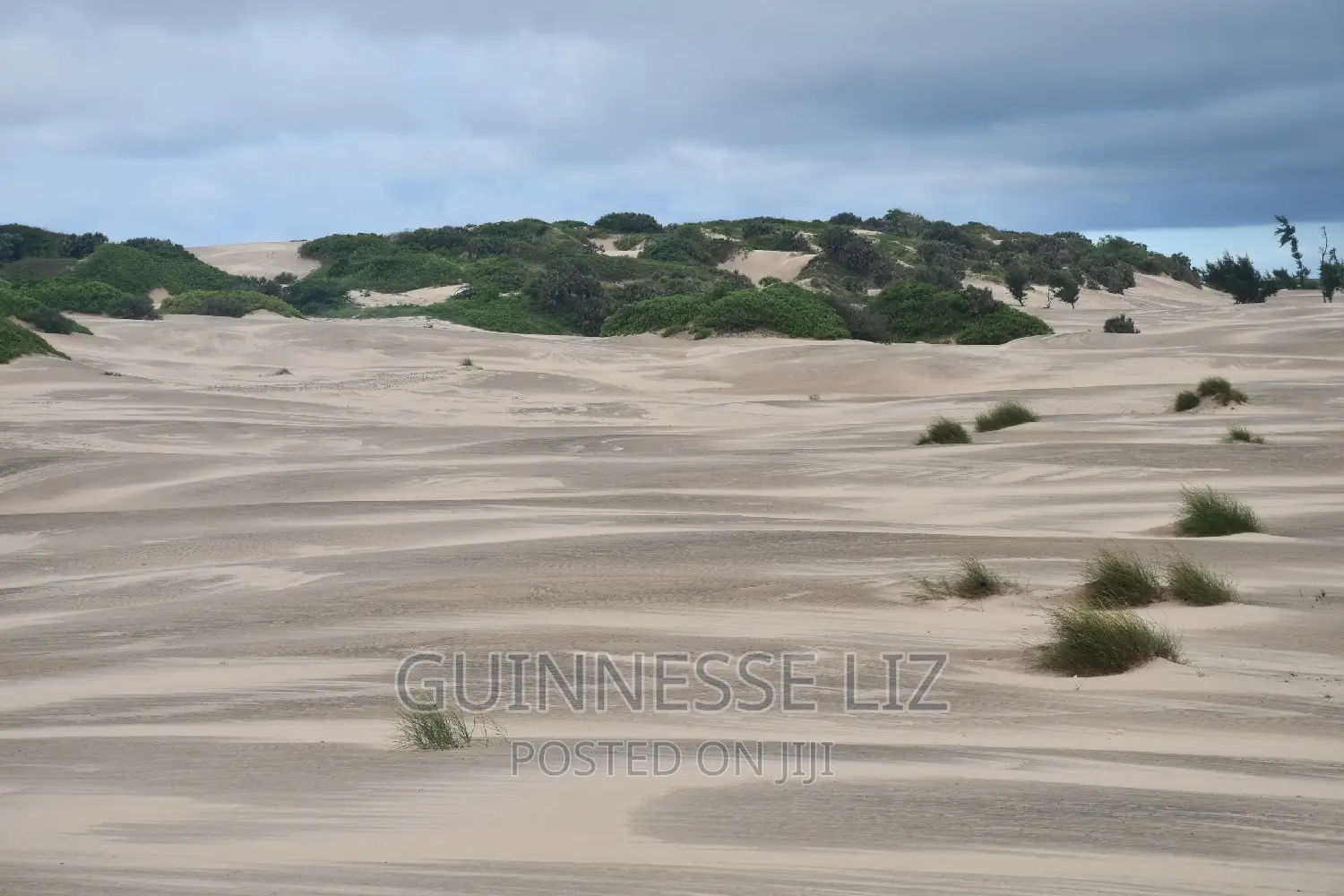 6M Beach Land for Sale Mamburui Malindi