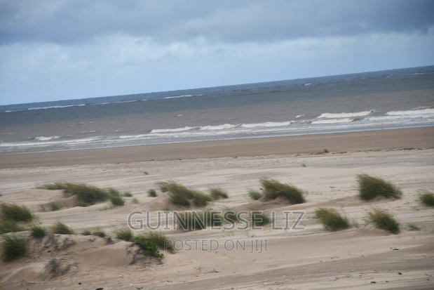 6M Beach Land for Sale Mamburui Malindi - thumbnail 9